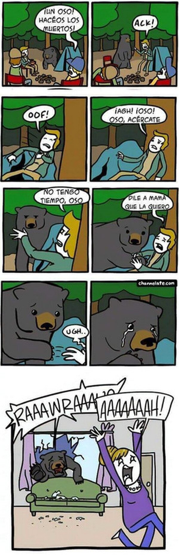 oso,bosque,madre,muerto