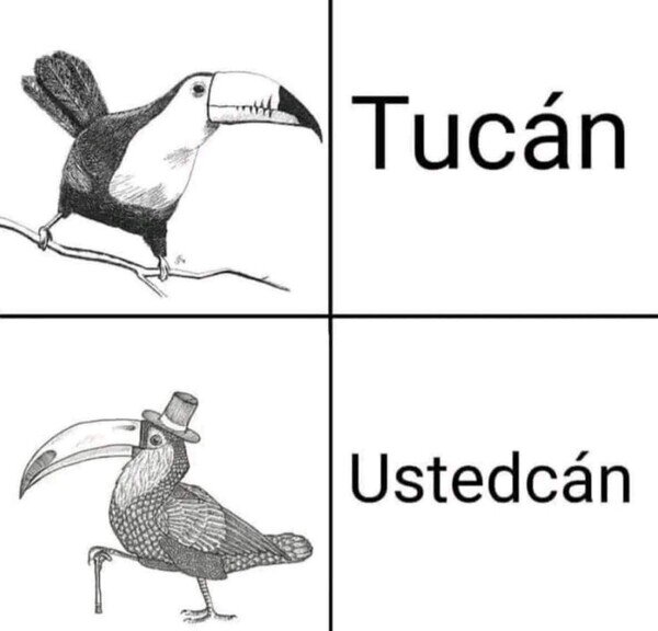 Otros - Perdón de antemano