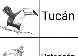 Enlace a Perdón de antemano