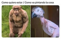 Enlace a Solo soy un animal sin pelaje