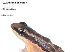 Enlace a ¿Cómo lo supiste?