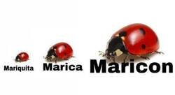 Enlace a Así se diferencian