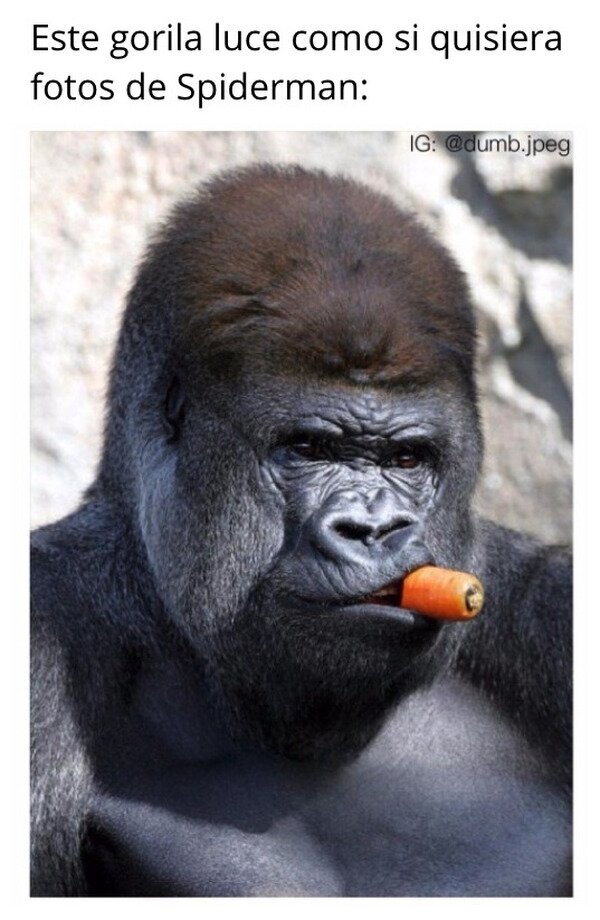 Meme_otros - ¡Es él!