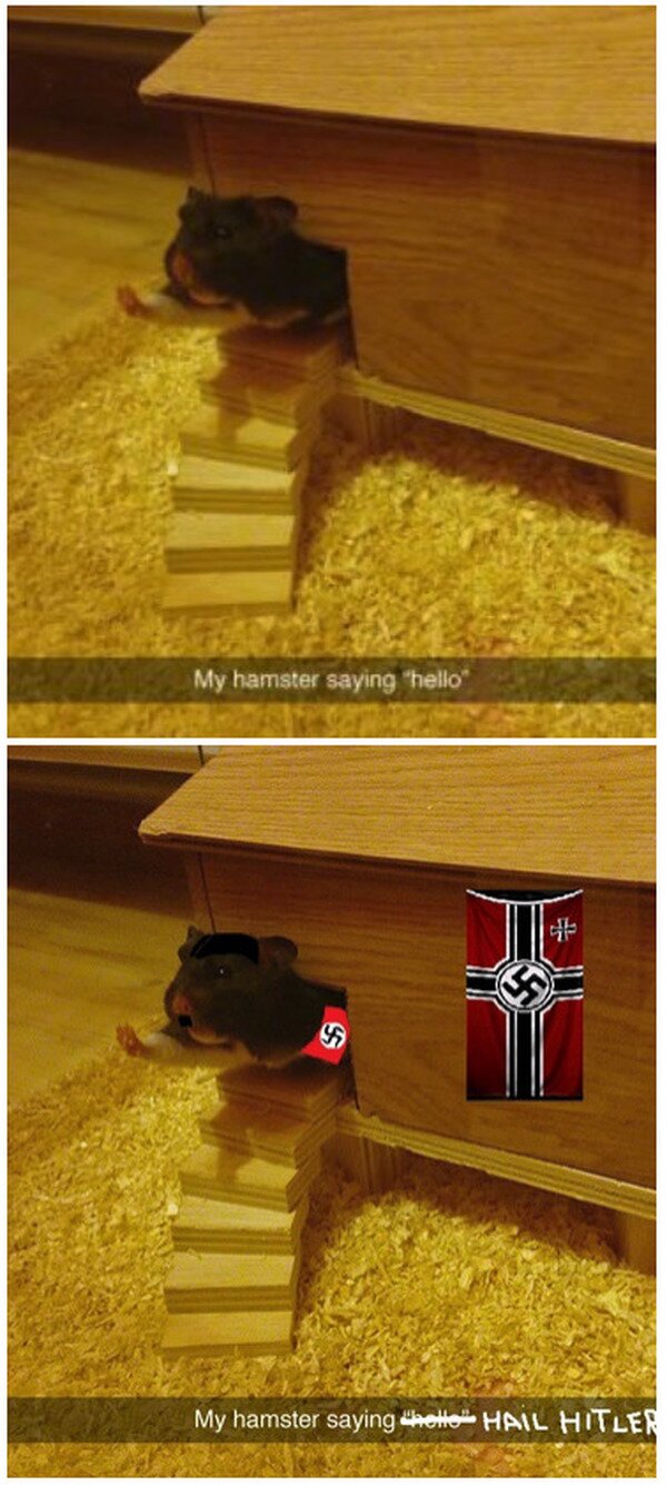 Meme_otros - Ese hámster no está saludando...
