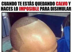 Enlace a Amplitud frontal