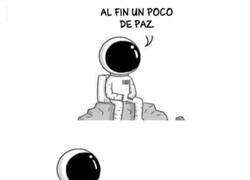 Enlace a Están por todas partes