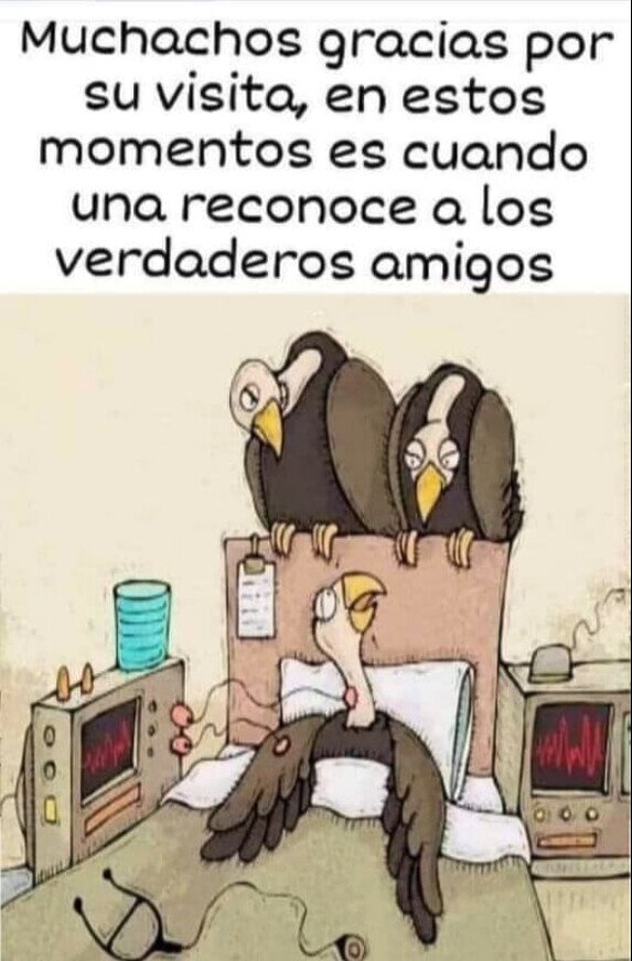 Meme_otros - Algunos amigos son carroñeros