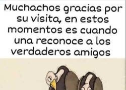 Enlace a Algunos amigos son carroñeros