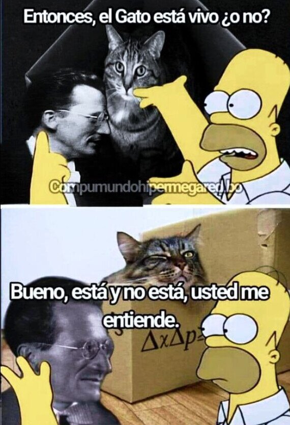 Meme_otros - No podría explicar mejor la teoría del Gato de Schrodinger