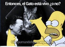 Enlace a No podría explicar mejor la teoría del Gato de Schrodinger