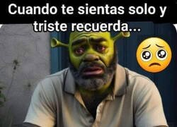 Enlace a No lo olvides