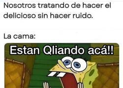 Enlace a Los muelles son delatadores
