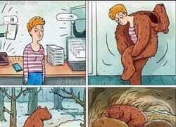 Enlace a Ojalá acabar con todo e hibernar