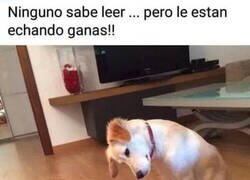 Enlace a Ganas no faltan