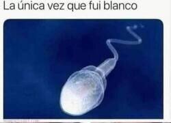 Enlace a Siempre quedará la decoloración a lo Maikol