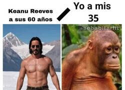 Enlace a ¿Cómo se conserva así de bien?