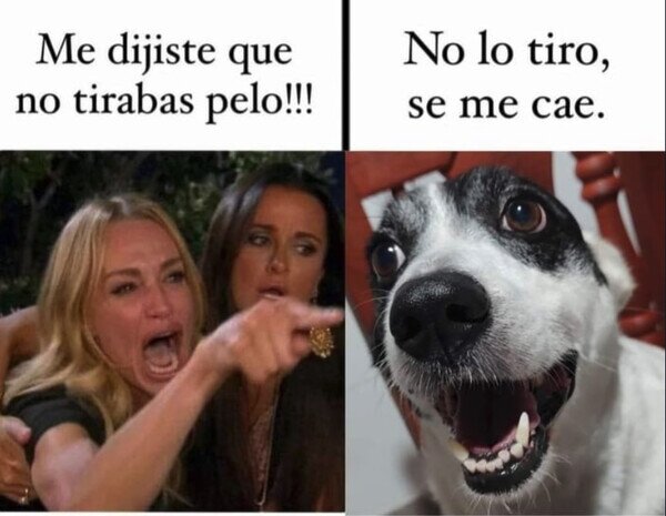 Otros - Aquí no se tira nada