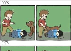 Enlace a Así son los perros y los gatos