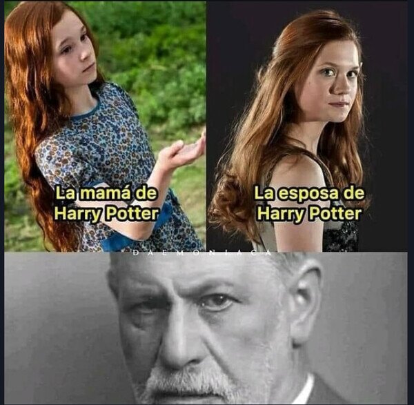 Meme_otros - ¿Qué has hecho, Harry?