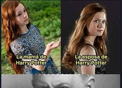 Enlace a ¿Qué has hecho, Harry?