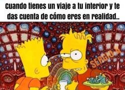 Enlace a ¡Dios mío, soy un monstruo!