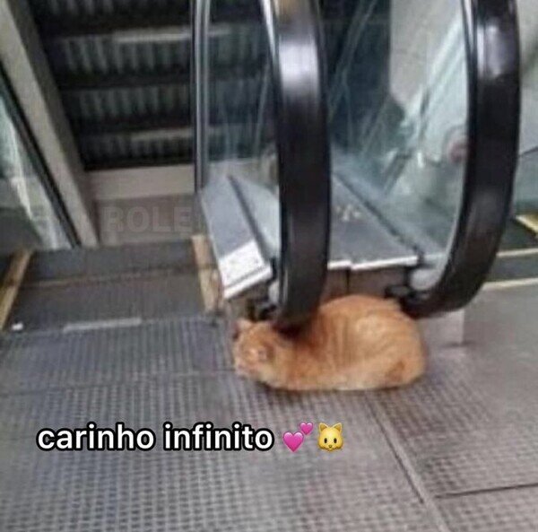 Meme_otros - Mimos para siempre