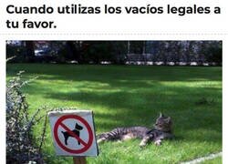 Enlace a Al margen de la ley