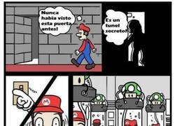 Enlace a La verdad de las vidas de Mario