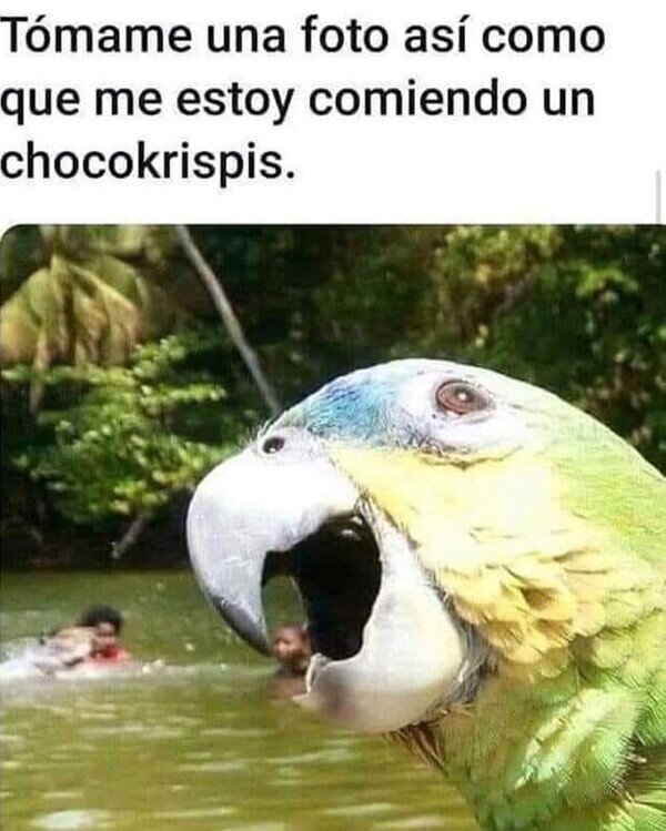 Meme_otros - No hombre no