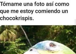 Enlace a No hombre no