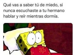 Enlace a Terror de hermano