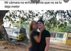 Enlace a No se hizo ningún favor