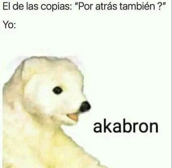 Meme_otros - Haberlo dicho antes