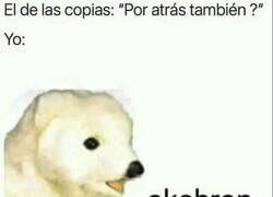 Enlace a Haberlo dicho antes