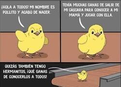 Enlace a Con ganas de comerse el mundo