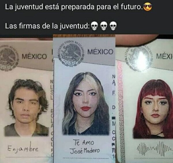 Meme_otros - Hacerse una firma decente debería ser obligatorio a los 18