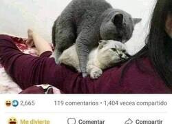 Enlace a Mi primer trío