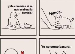 Enlace a Amor de gato
