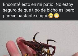 Enlace a Parece una grapadora