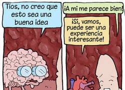 Enlace a La opinión del cerebro debería predominar