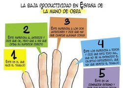Enlace a Baja productividad
