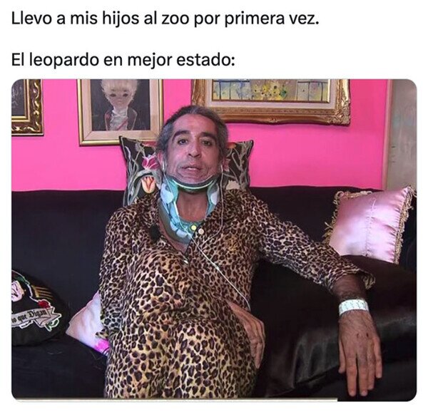 Vaquerizo,leopardo,animales,zoo,caída