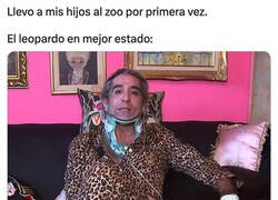 Enlace a Los animales del zoo dan bastante lastimica...