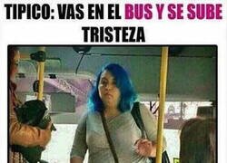 Enlace a El bus de las emociones