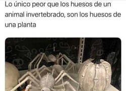 Enlace a Aterrador