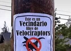 Enlace a Yo por si acaso voy a contratar un buen seguro cinegético