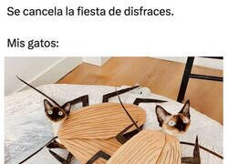 Enlace a Ya estaban listos