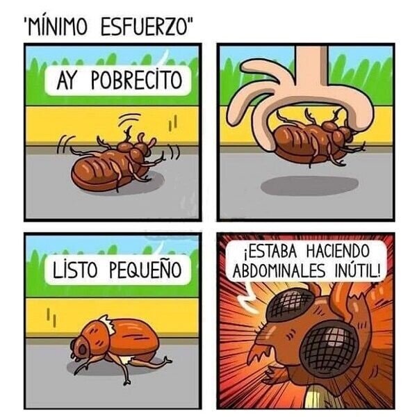 escarabajo,abdominales,ayudar,vuelta