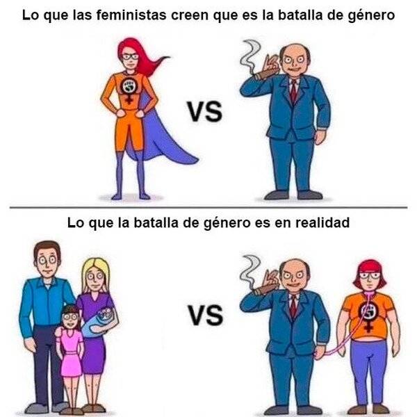 Meme_otros - La verdadera batalla de género