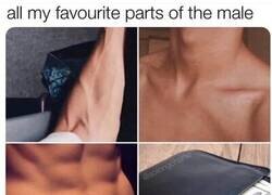 Enlace a Las partes de un hombre que las mujeres adoran